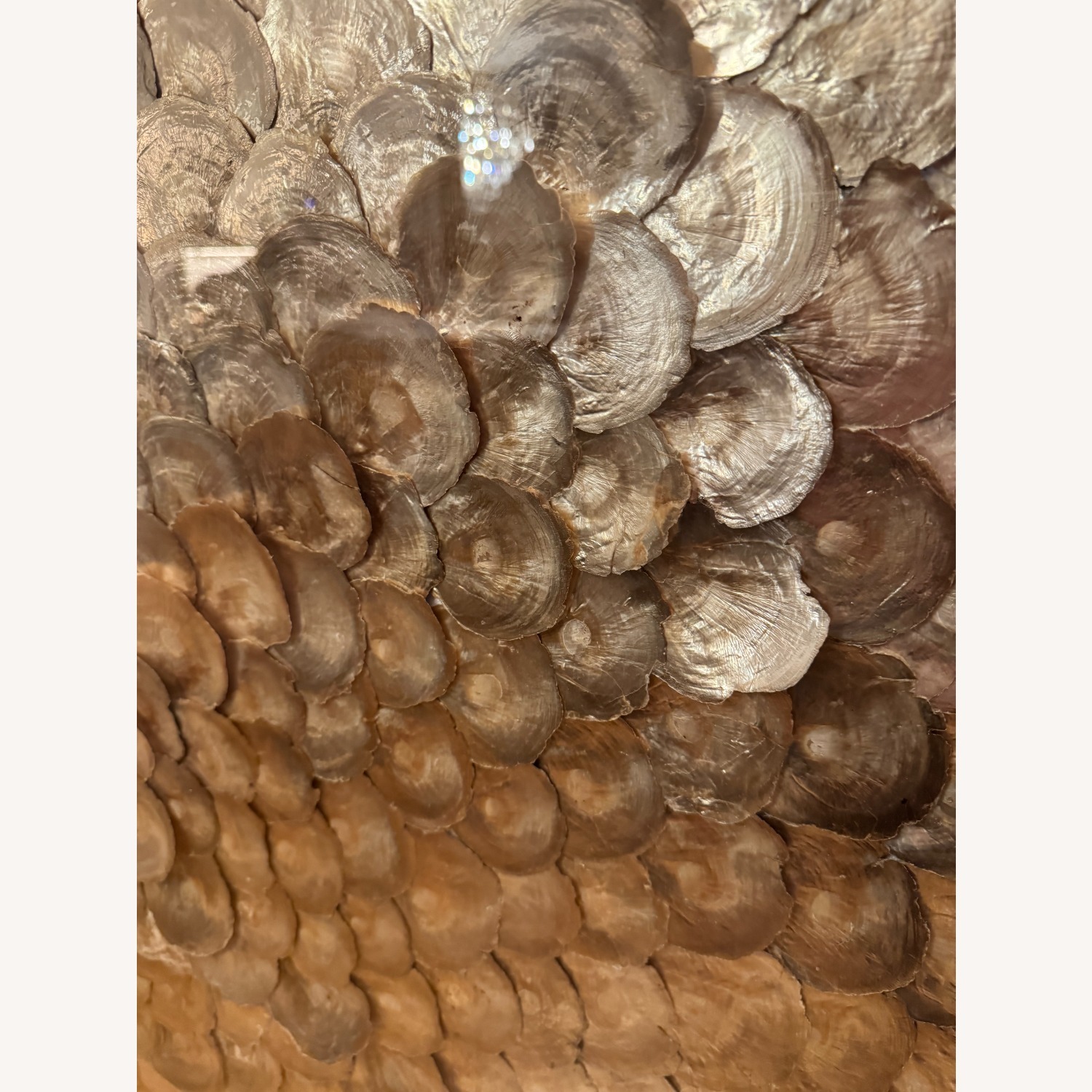 Restoration Hardware Capiz Shell Art Large - Gold - image-8