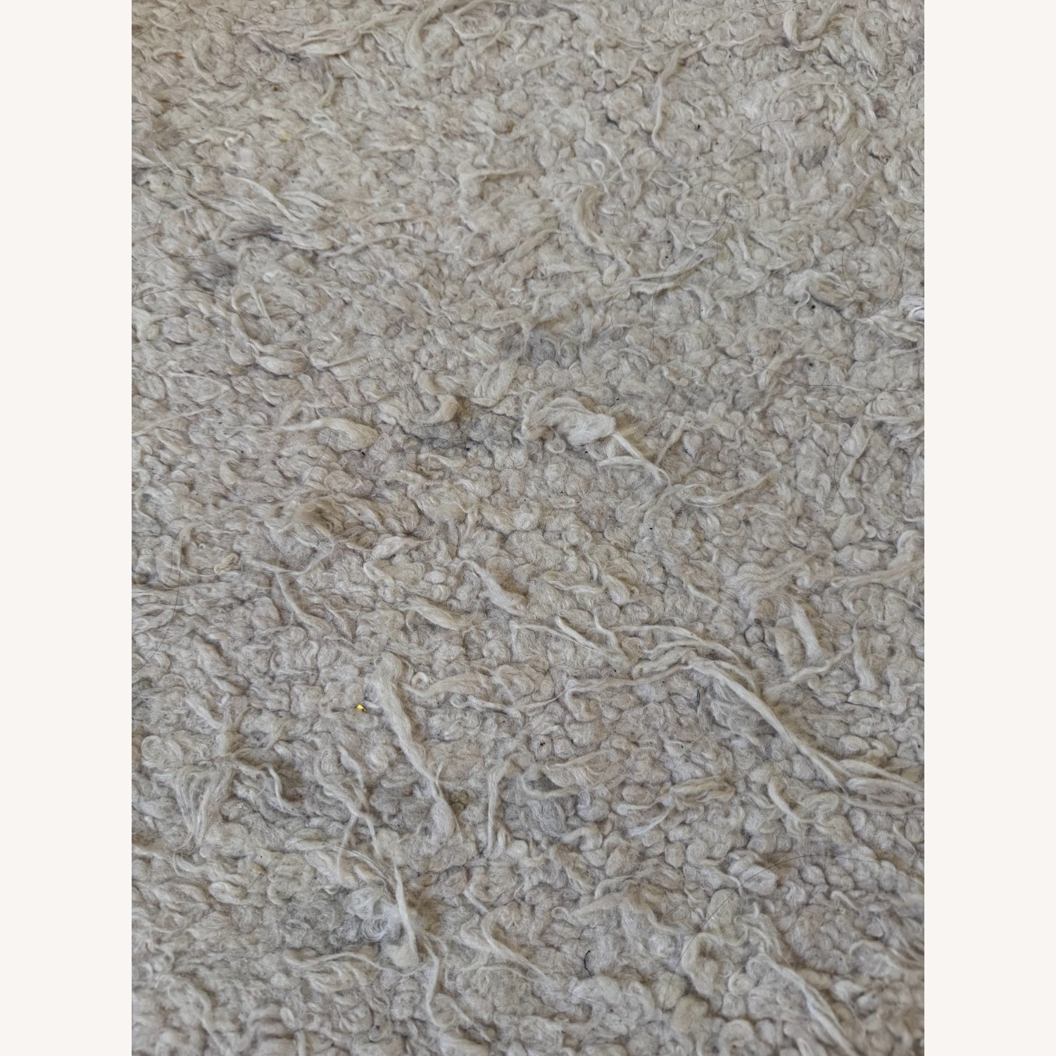 CB2 Roma Hand-Knotted New Zealand Wool Rug - image-2