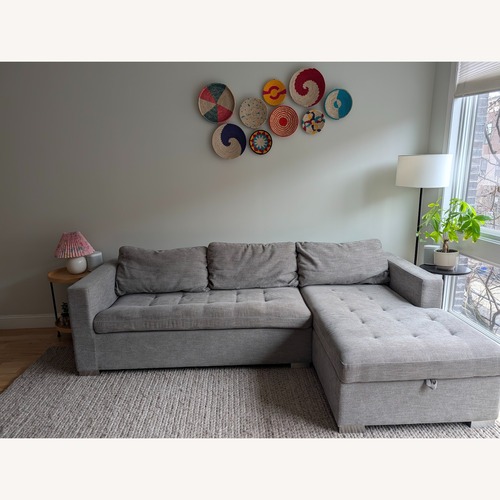 Used Article Soma Sleeper Sofa with Chaise for sale on AptDeco