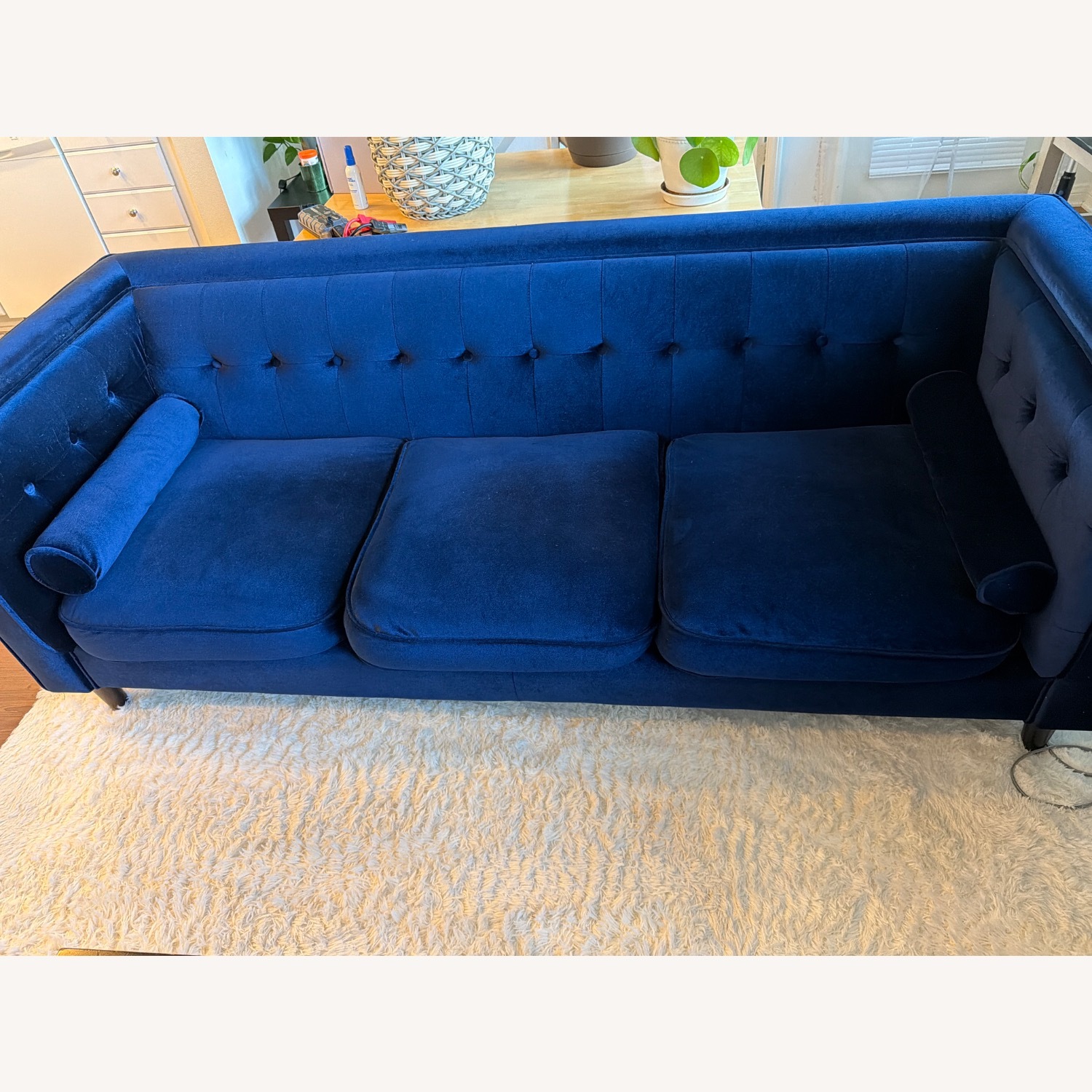 Blue Velvet Loveseat - image-1