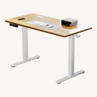 Wayfair Natural Wood Desk