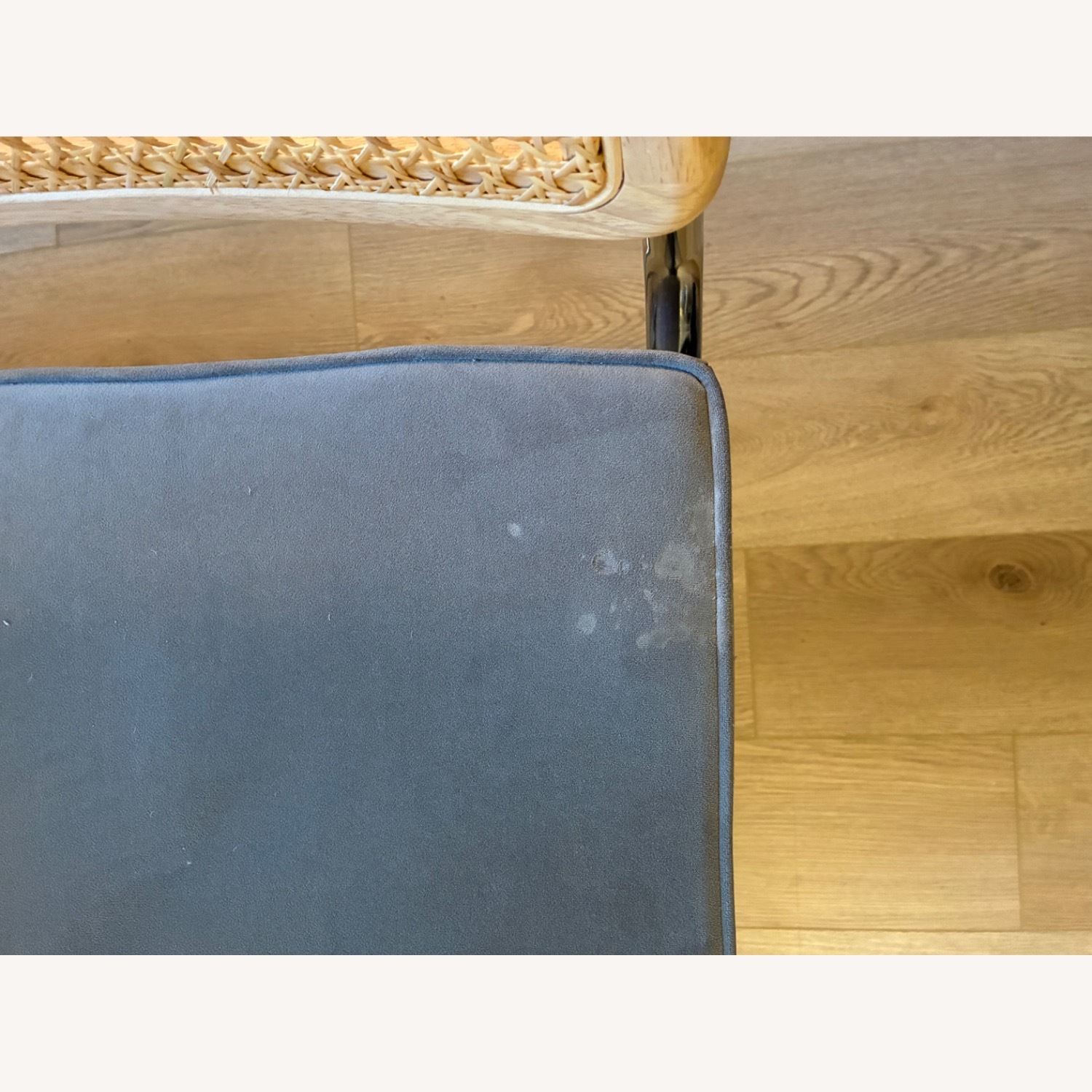 AllModern Light Gray Velvet & Wood Dining Chairs - image-2