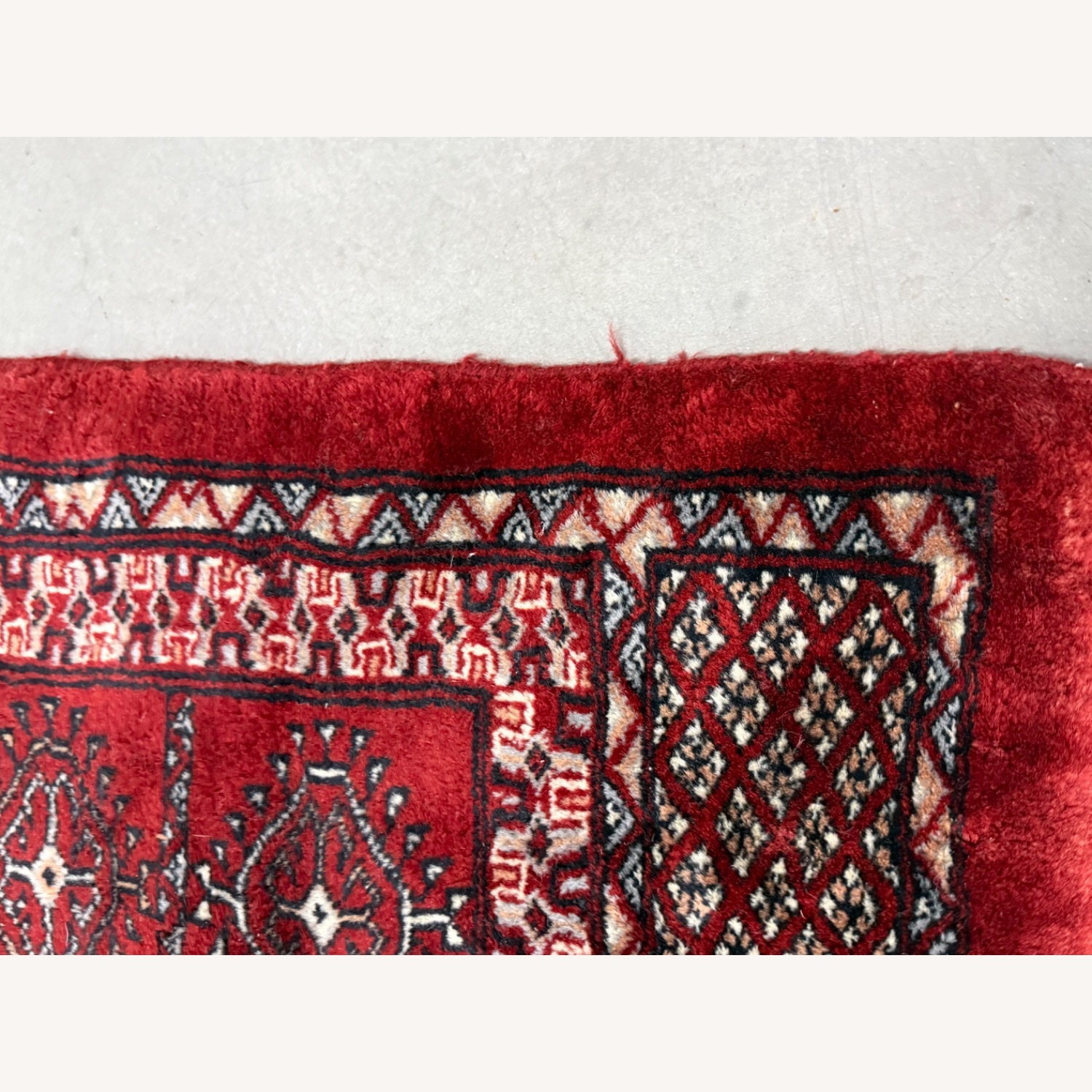 Pakistani Bukhara Handknotted 100% Wool Area Rug - image-6