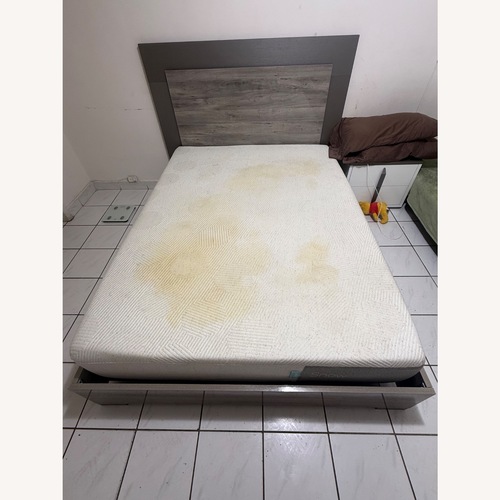 Used Trailer Park Slope Light Gray Wood Queen Bed for sale on AptDeco