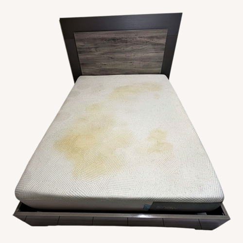 Used Trailer Park Slope Light Gray Wood Queen Bed for sale on AptDeco