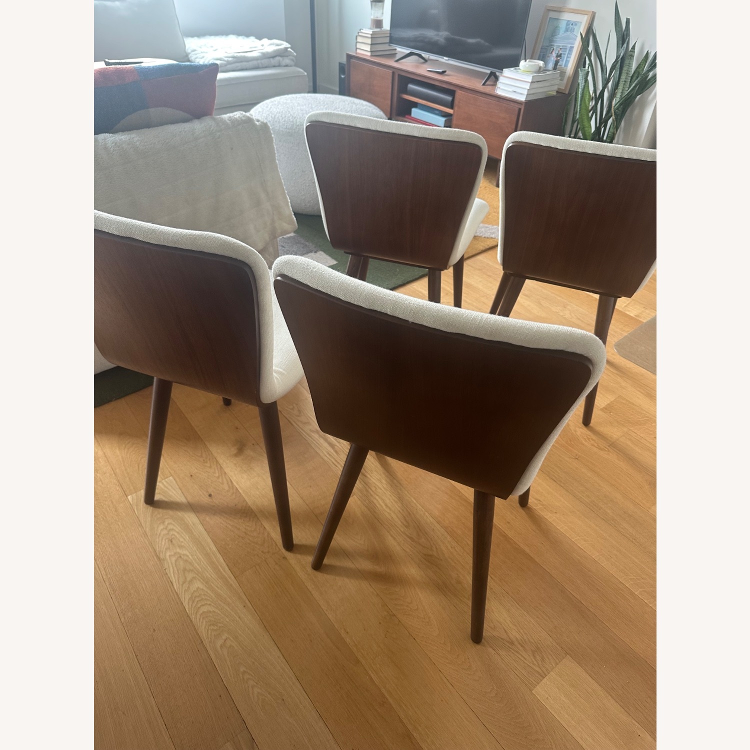 Article Sede Walnut Dining Chairs - image-2