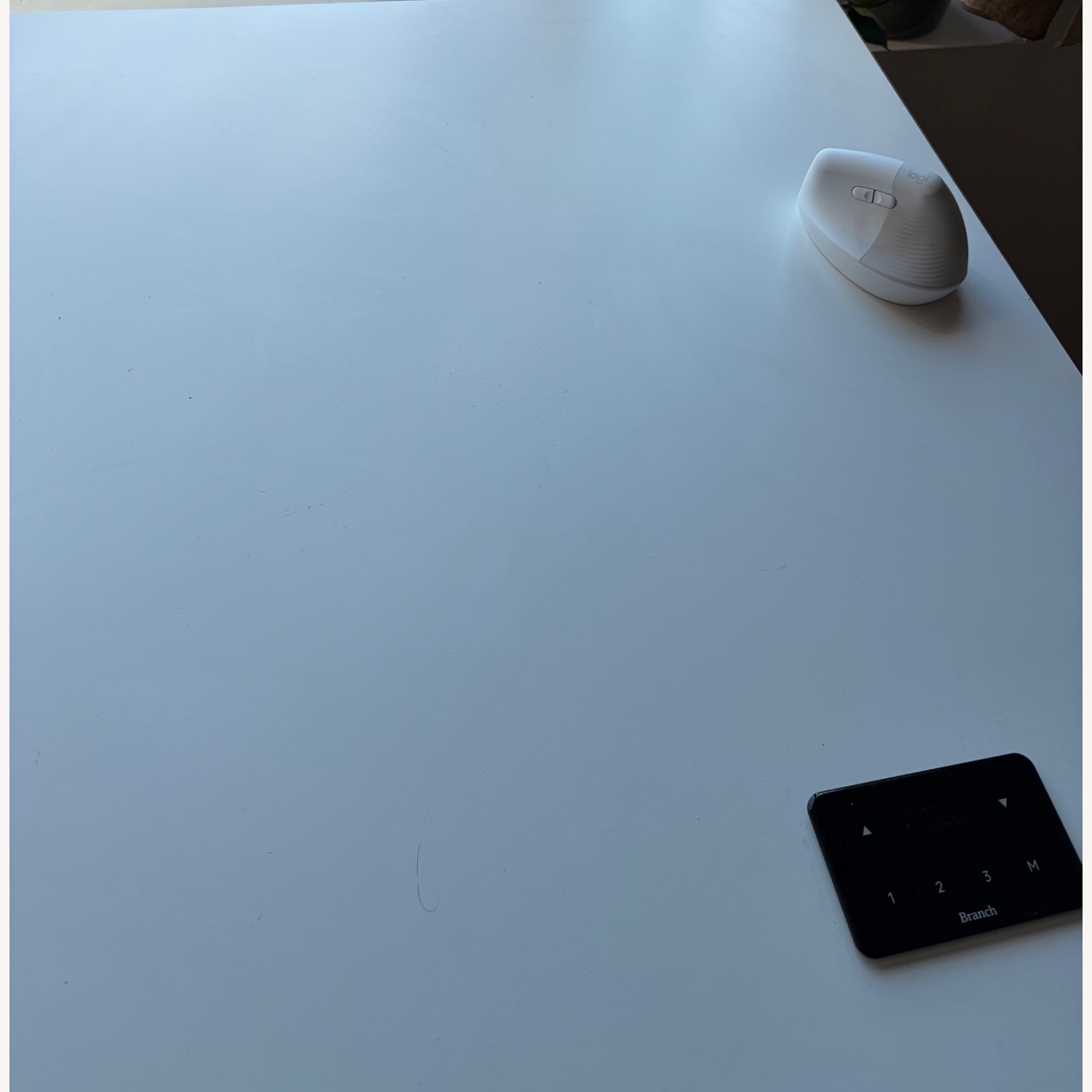 Branch White Wood Desk - image-3