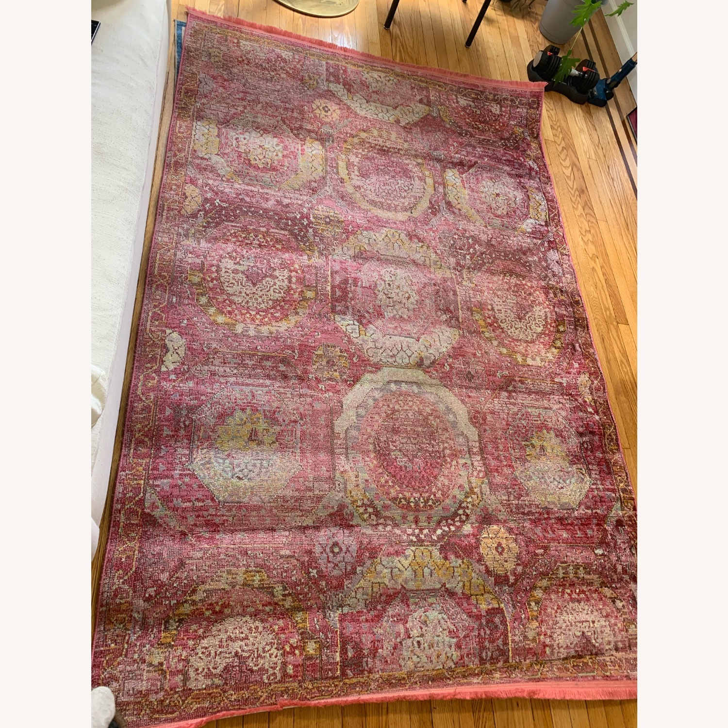 Santiago Rug - image-4
