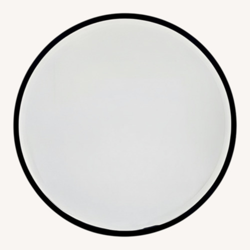 Used Pottery Barn Layne Round Wall Mirror for sale on AptDeco