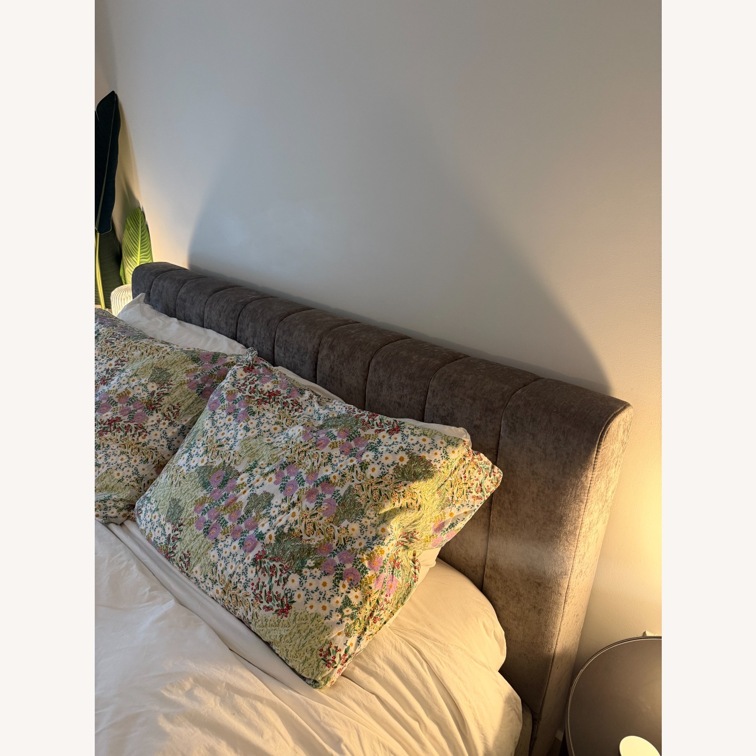 CB2 Forte Dark Gray Velvet Queen Bed - image-3