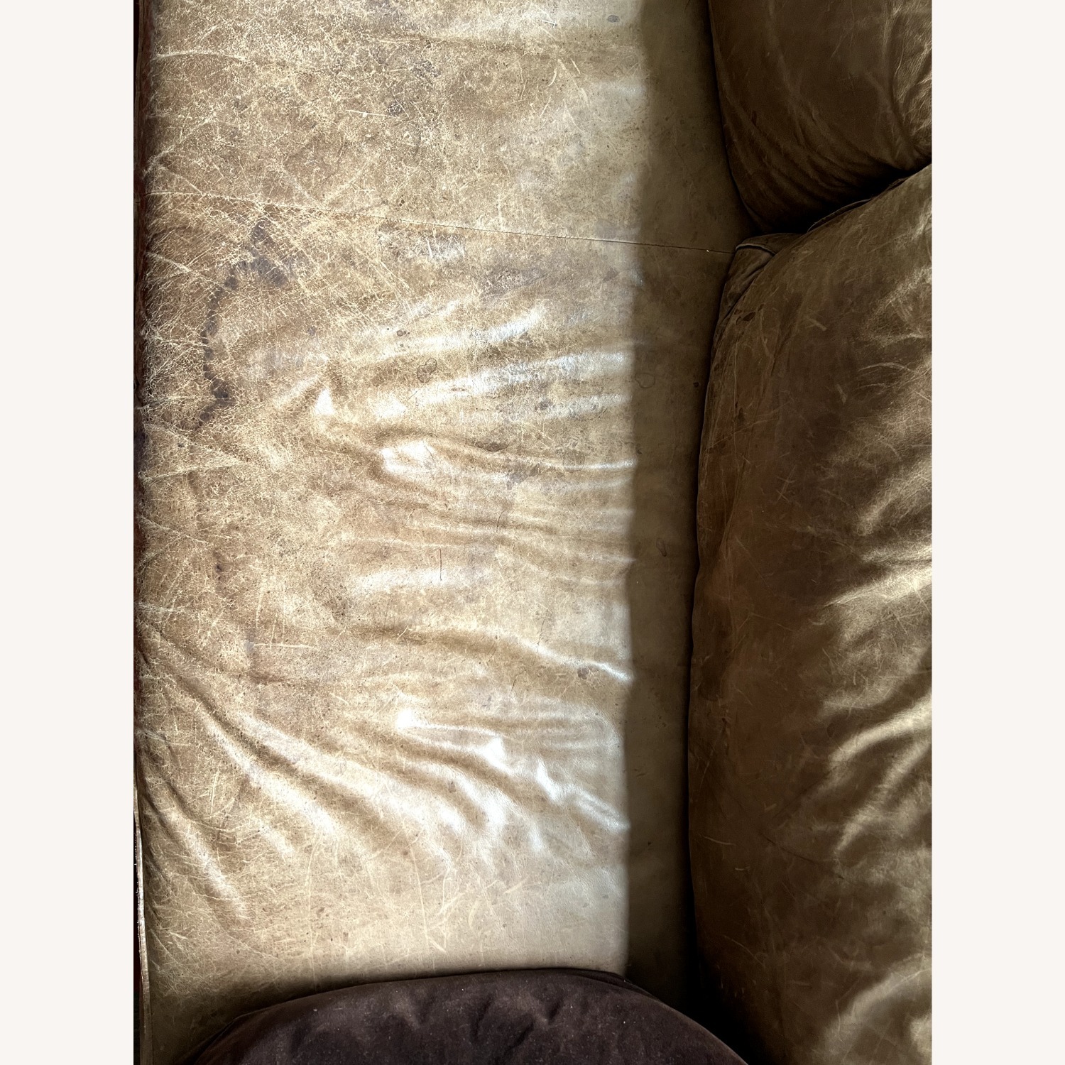 Article Capilano Charme Chocolat Leather Sofa - image-4