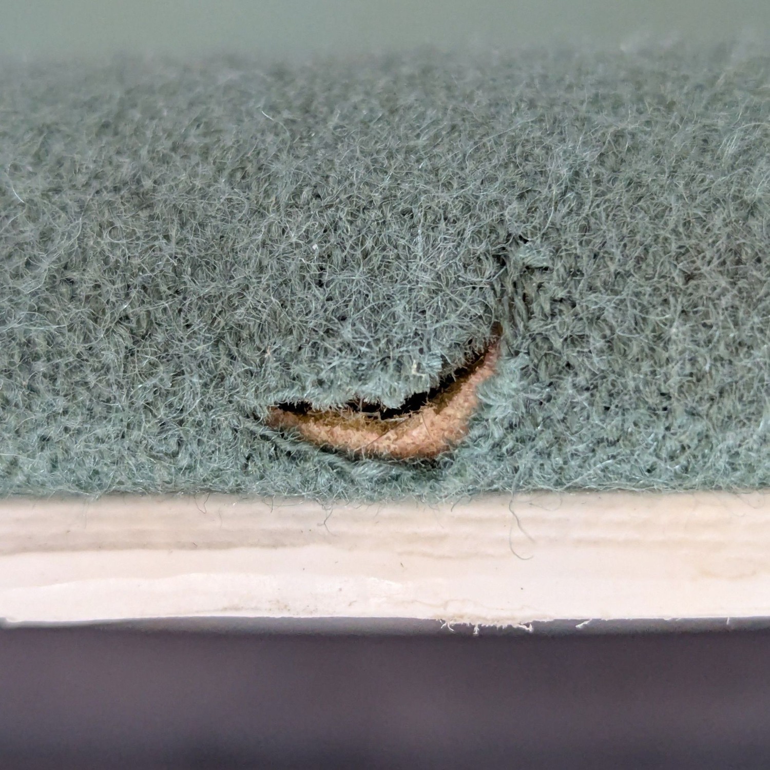 Andreu World Modern Green Office Chair with Wheels - image-8