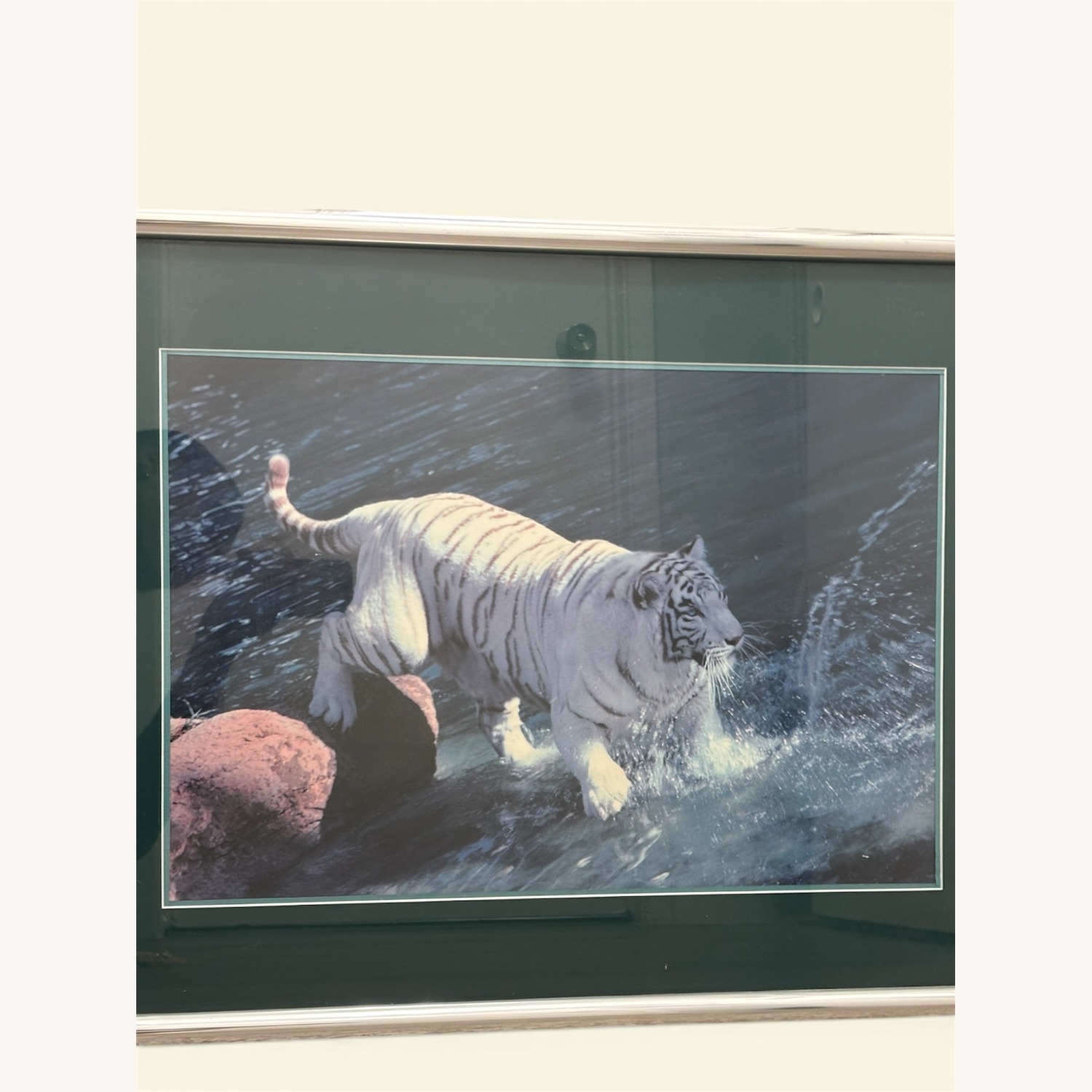  White Tiger Photograph in Frame - image-2