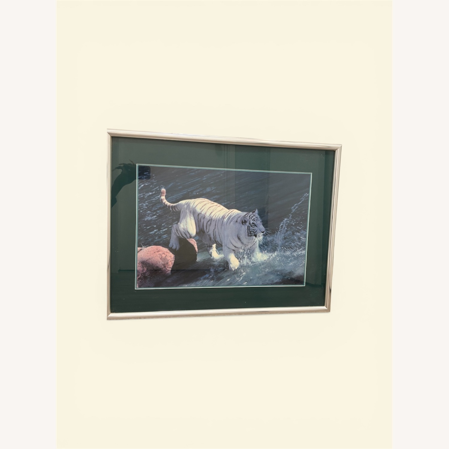  White Tiger Photograph in Frame - image-1