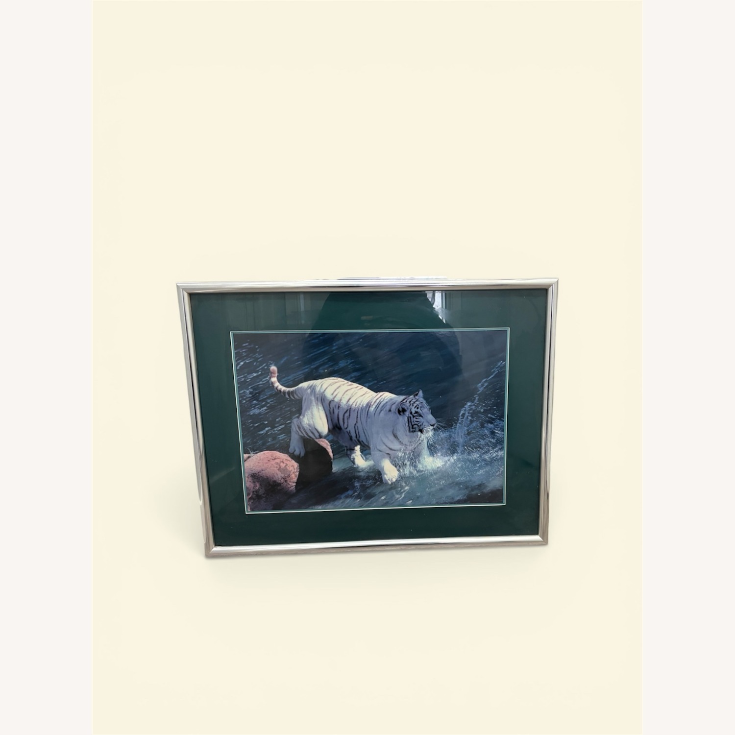  White Tiger Photograph in Frame - image-3