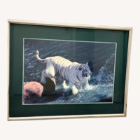  White Tiger Photograph in Frame