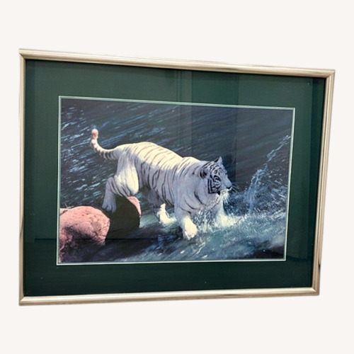 Used  White Tiger Photograph in Frame for sale on AptDeco