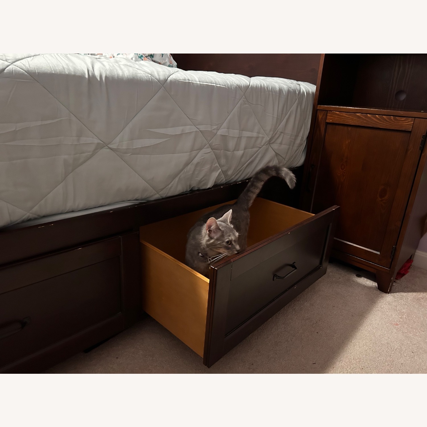 Pb Teen Hampton Dark Brown Wood Full Bed - image-4