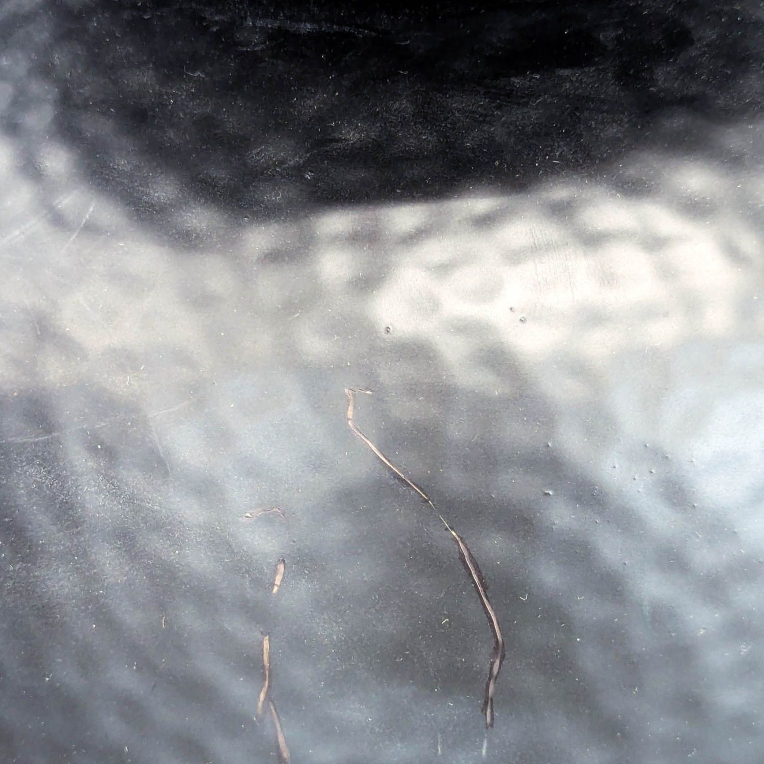 Crate & Barrel Fernando Round Accent Table - image-5