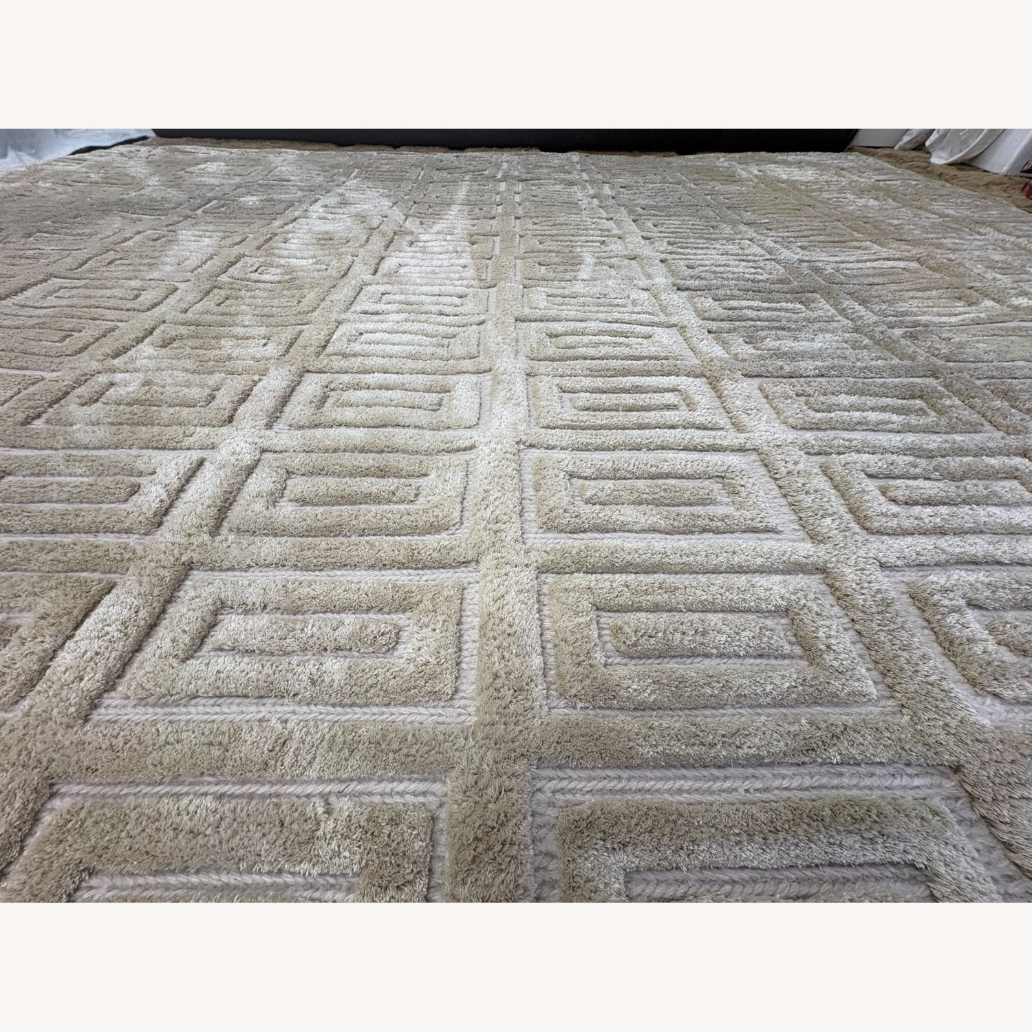 Restoration Hardware Rajouri Silk & Wool Rug – 9x12 - image-7