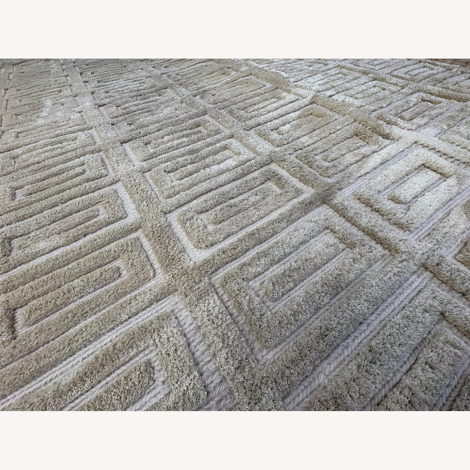 Restoration Hardware Rajouri Silk & Wool Rug – 9x12 - image-9