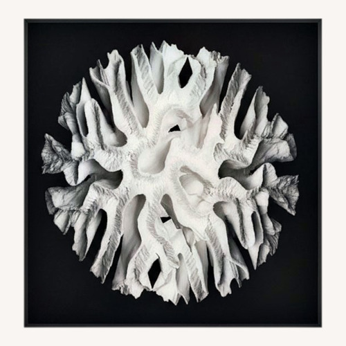 Used Coral Acrylic Wall Art for sale on AptDeco