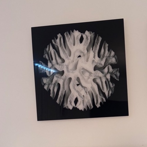 Used Coral Acrylic  Wall Art for sale on AptDeco