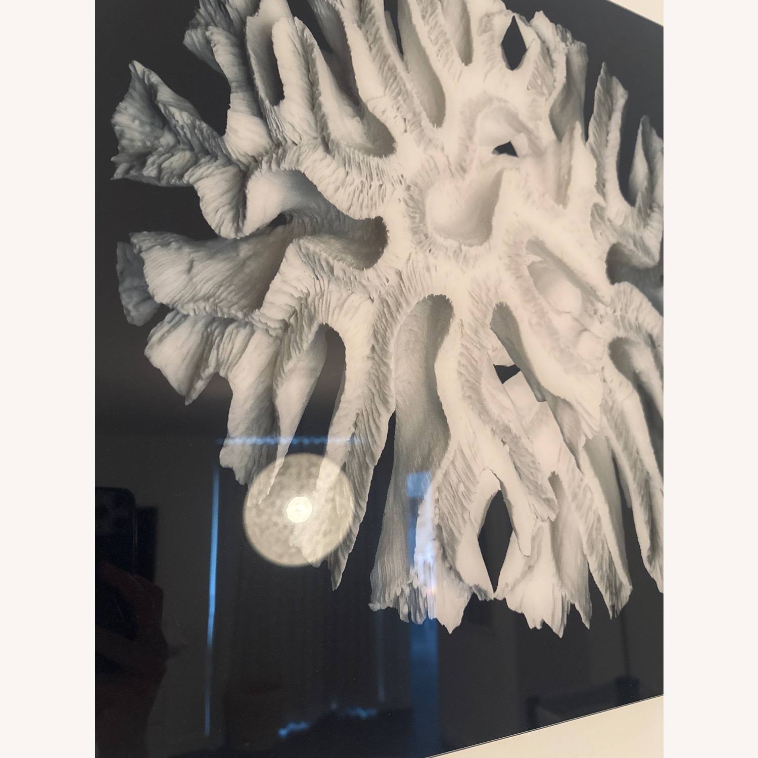 Coral Acrylic  Wall Art - image-3
