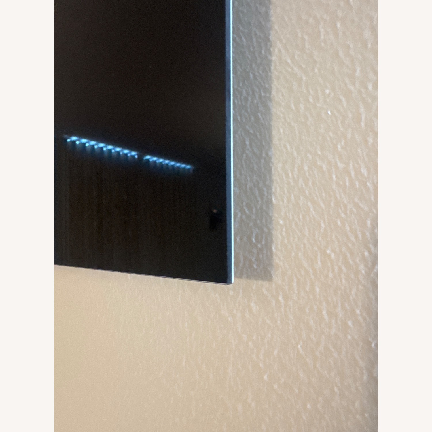 Coral Acrylic  Wall Art - image-2