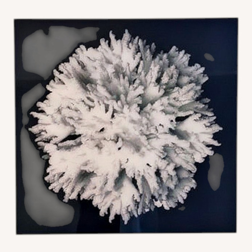 Used Black Wall Art for sale on AptDeco