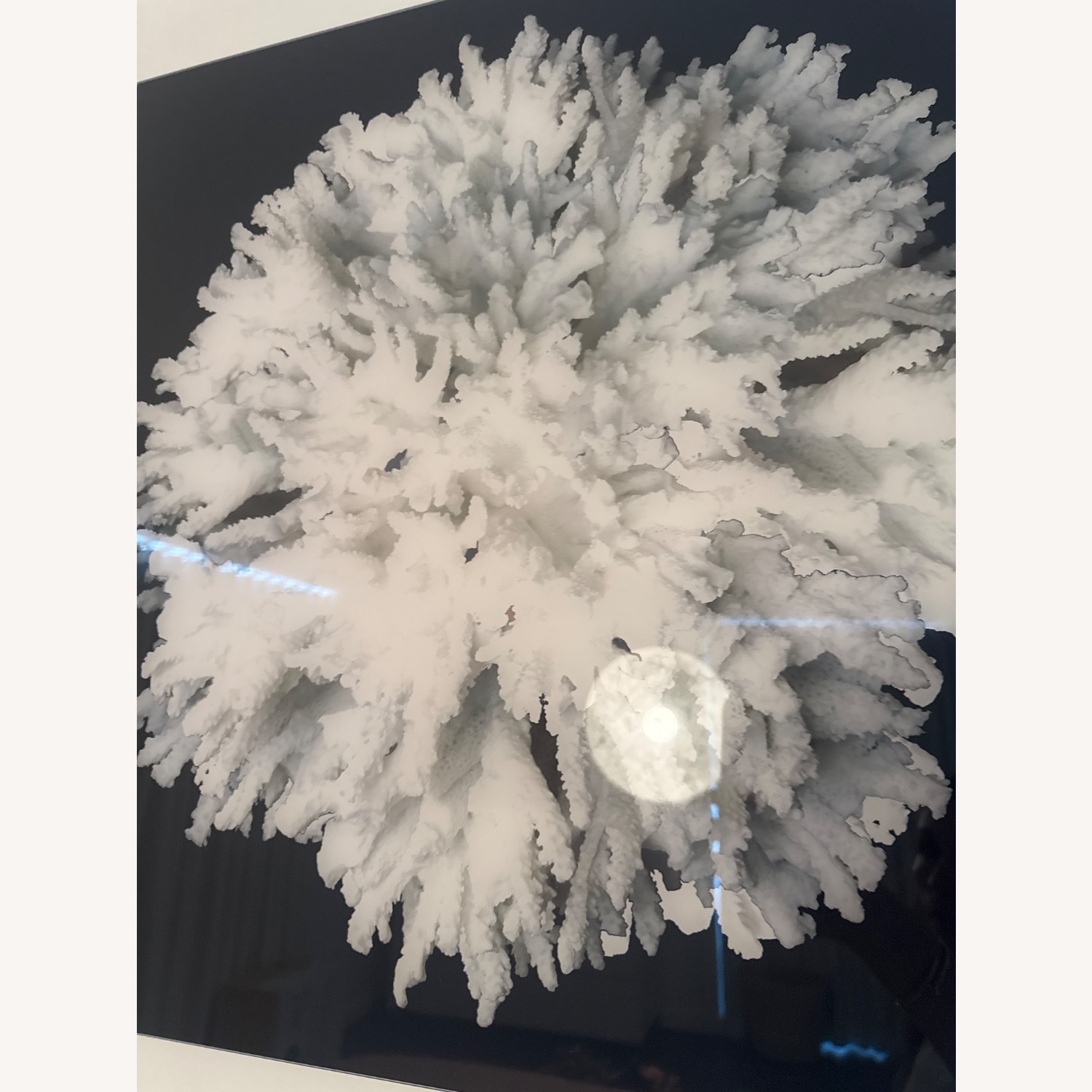 Black Wall Art - image-3