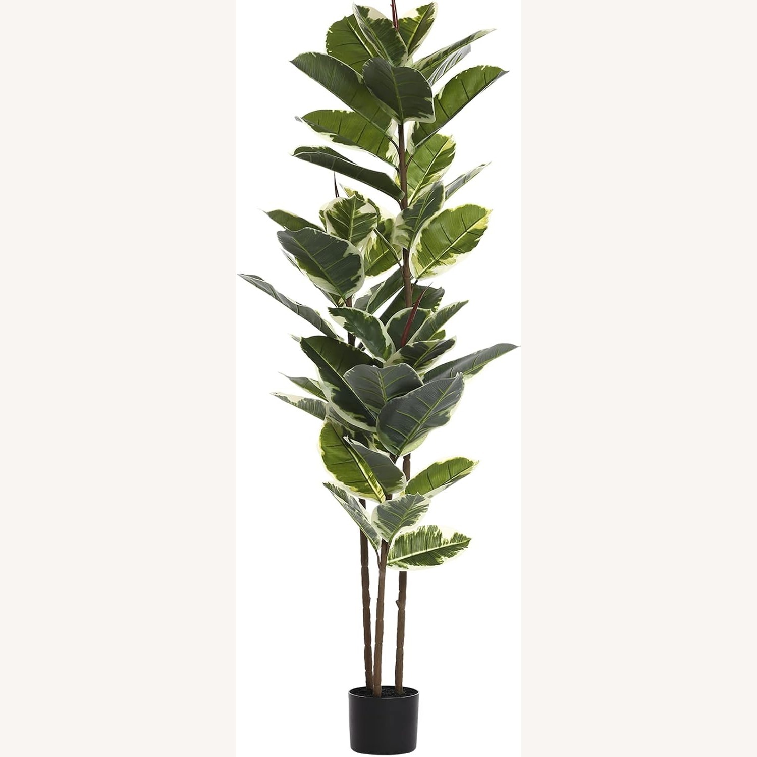 Five Foot Fake Ficus Plant - image-3