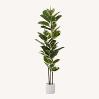 Five Foot Fake Ficus Plant