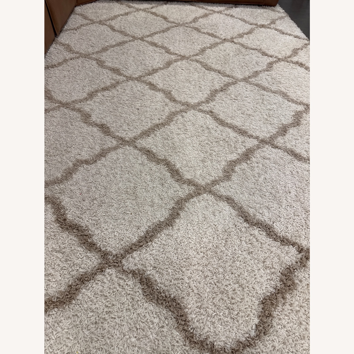 Wayfair Area Rug 9' x 12' - image-2