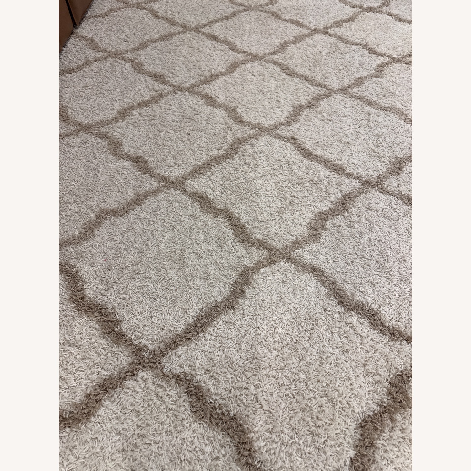Wayfair Area Rug 9' x 12' - image-3