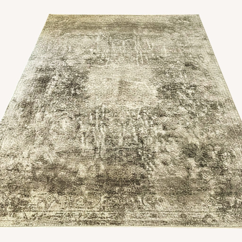 Used 8X10 Area Rug for sale on AptDeco