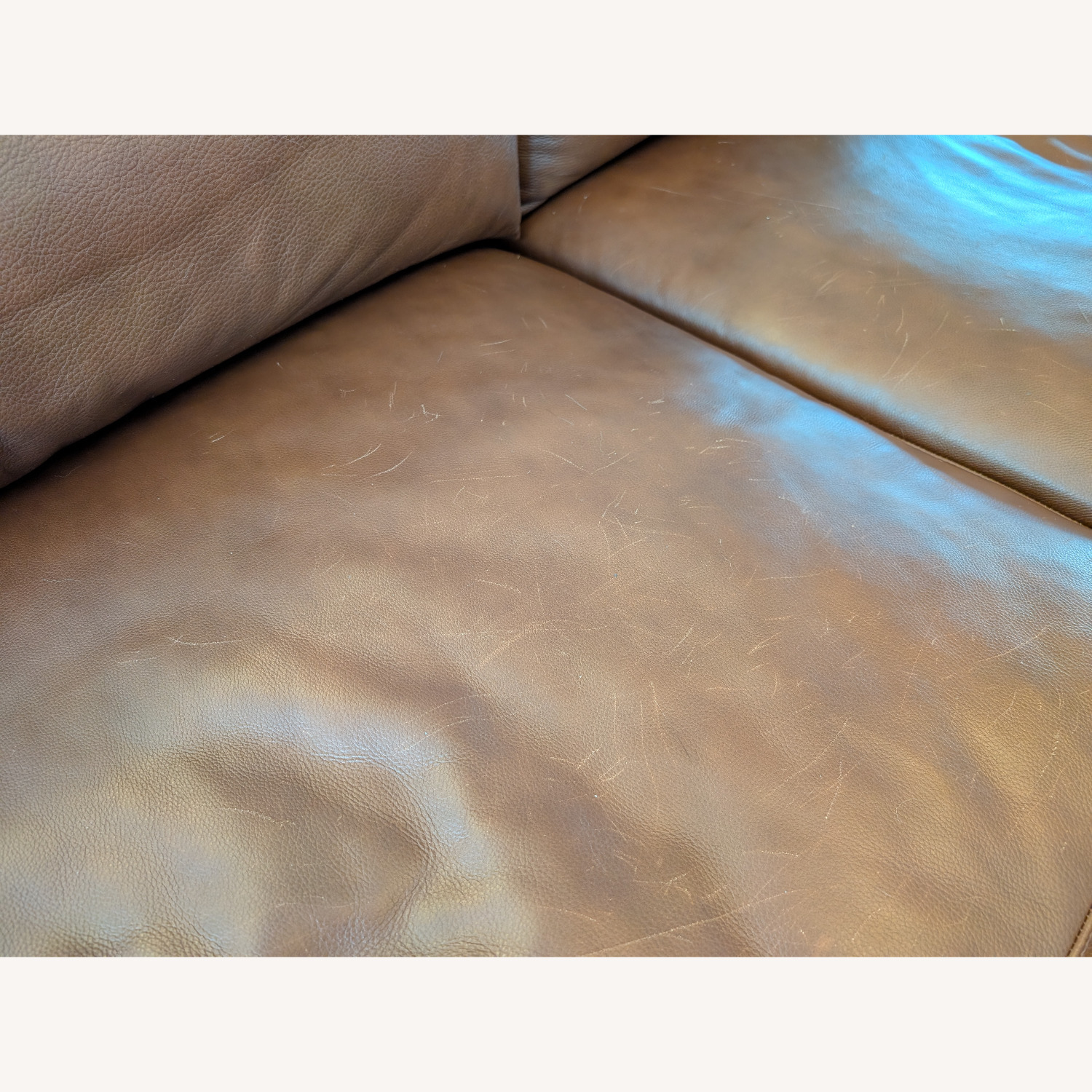 Room & Board Dark Brown Pierson Leather Sofa - image-5