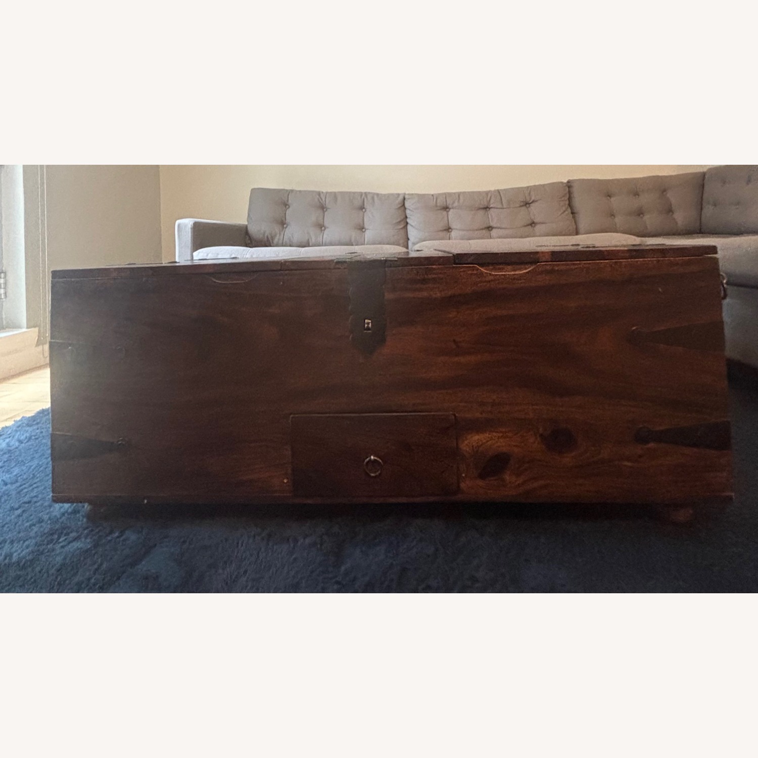 Crate & Barrel Taka Storage Trunk Coffee Table - image-4