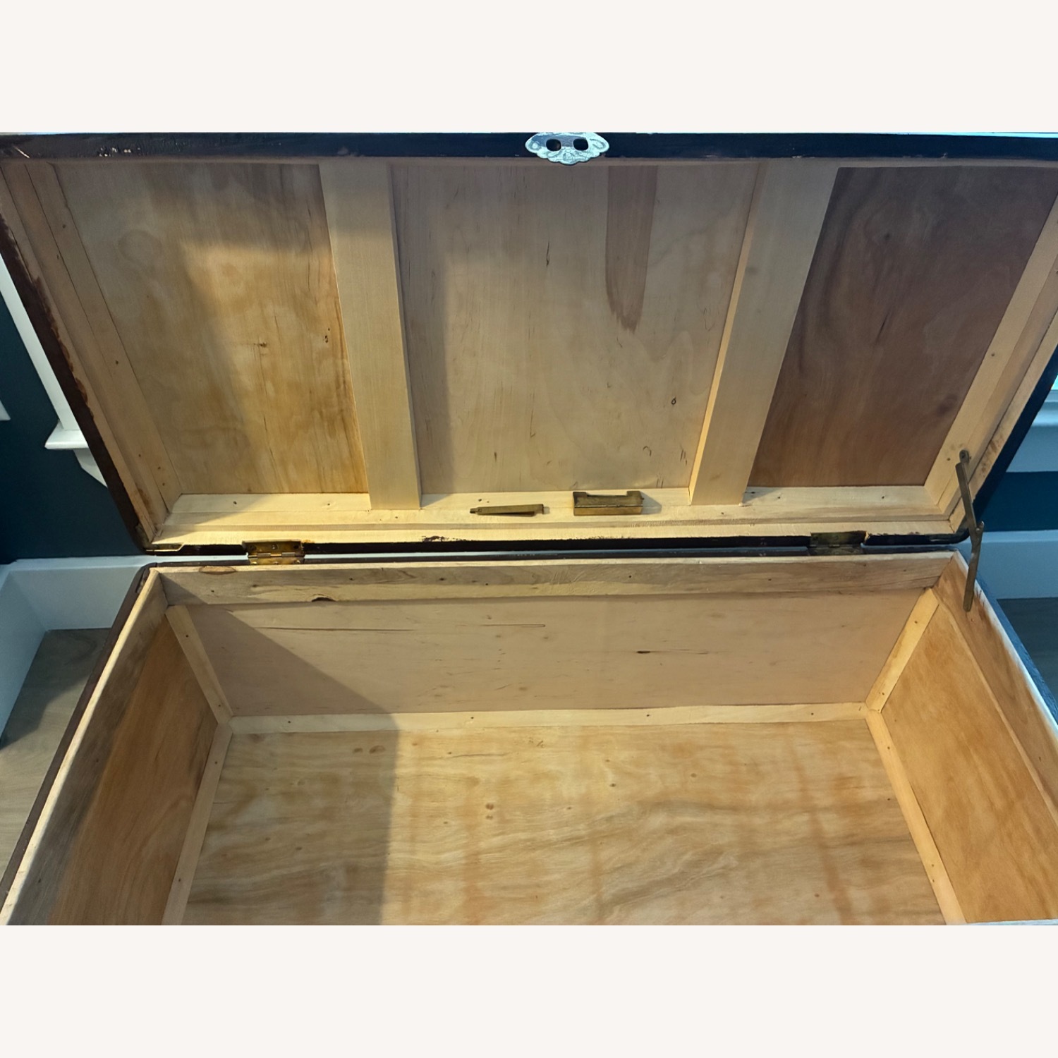 Antique Chinese Camphor Chest   - image-13