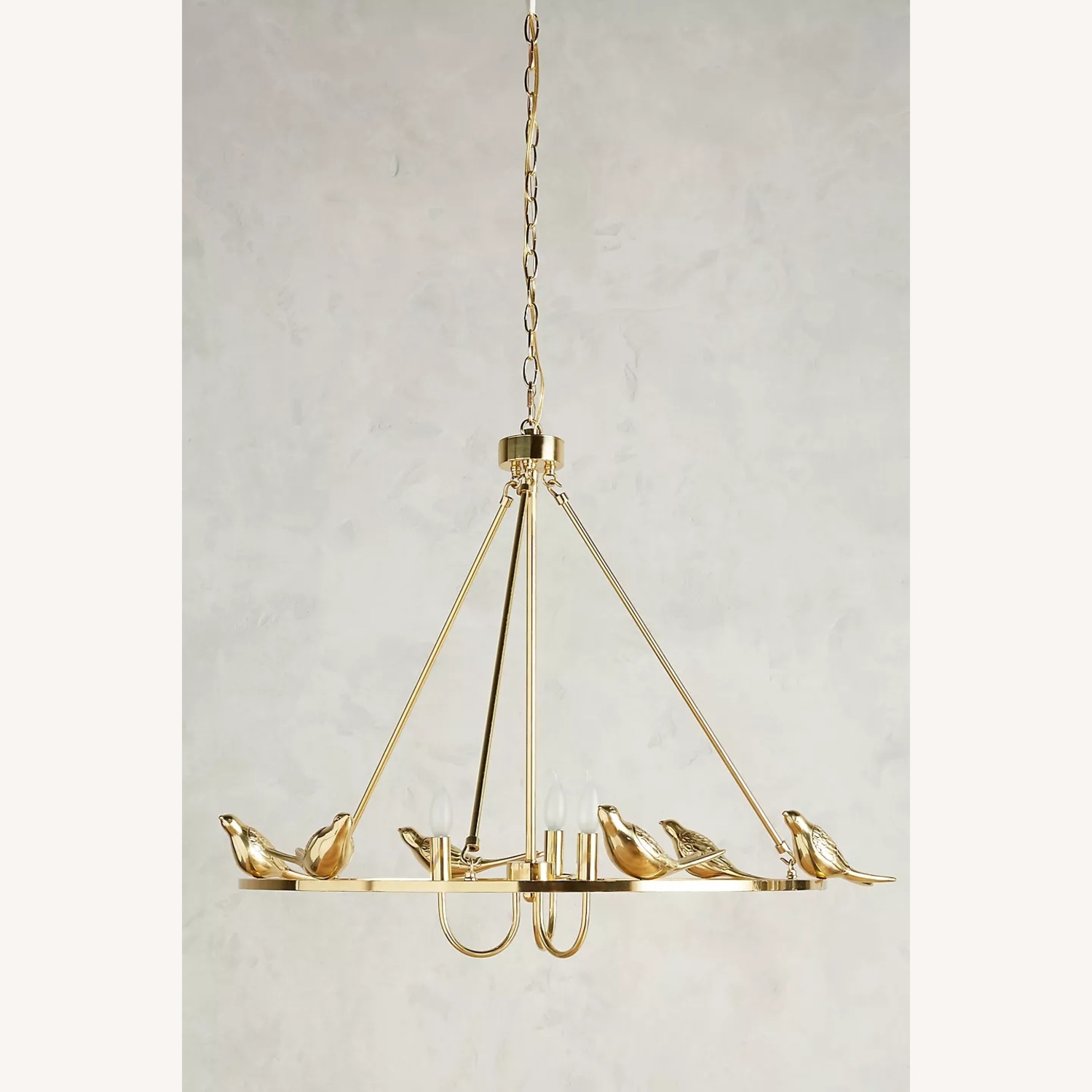 Anthropologie Golden Perch Chandelier - image-5