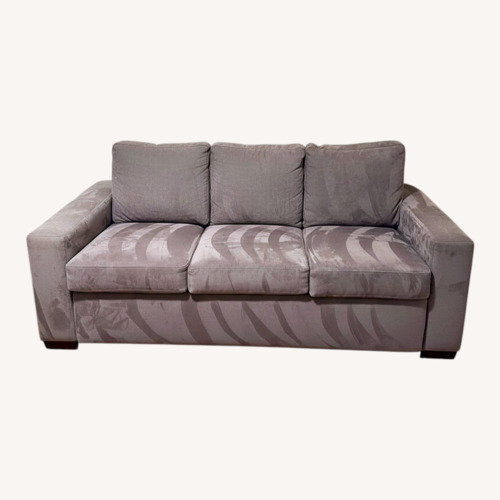 Used Sleeping Sofa for sale on AptDeco