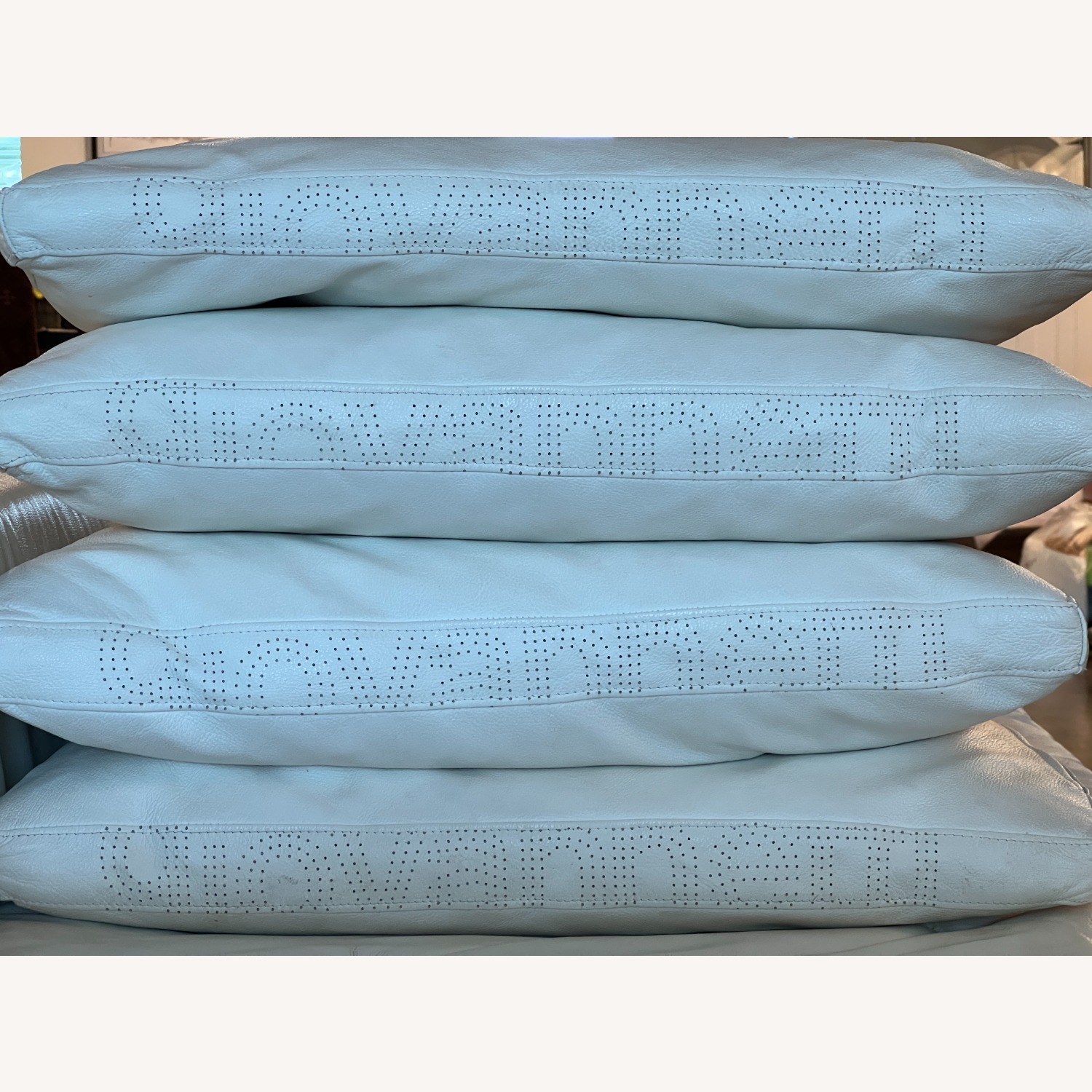  Giovannetti Collezioni Friends Light Leather Sofa - image-5