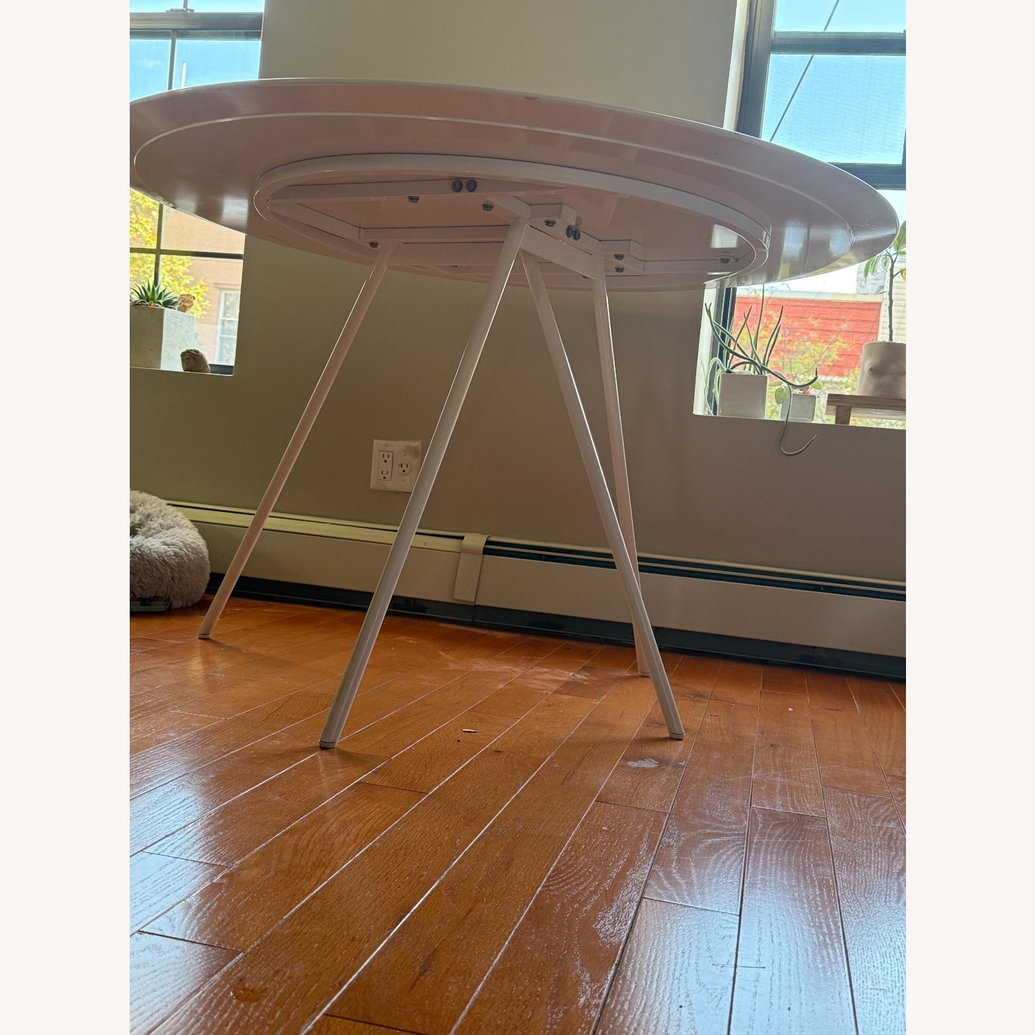 CB2 White Lacquer Dining Table - image-3