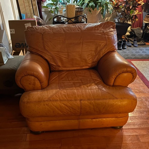 Used Saddle Brown Premium Leather Chair  for sale on AptDeco