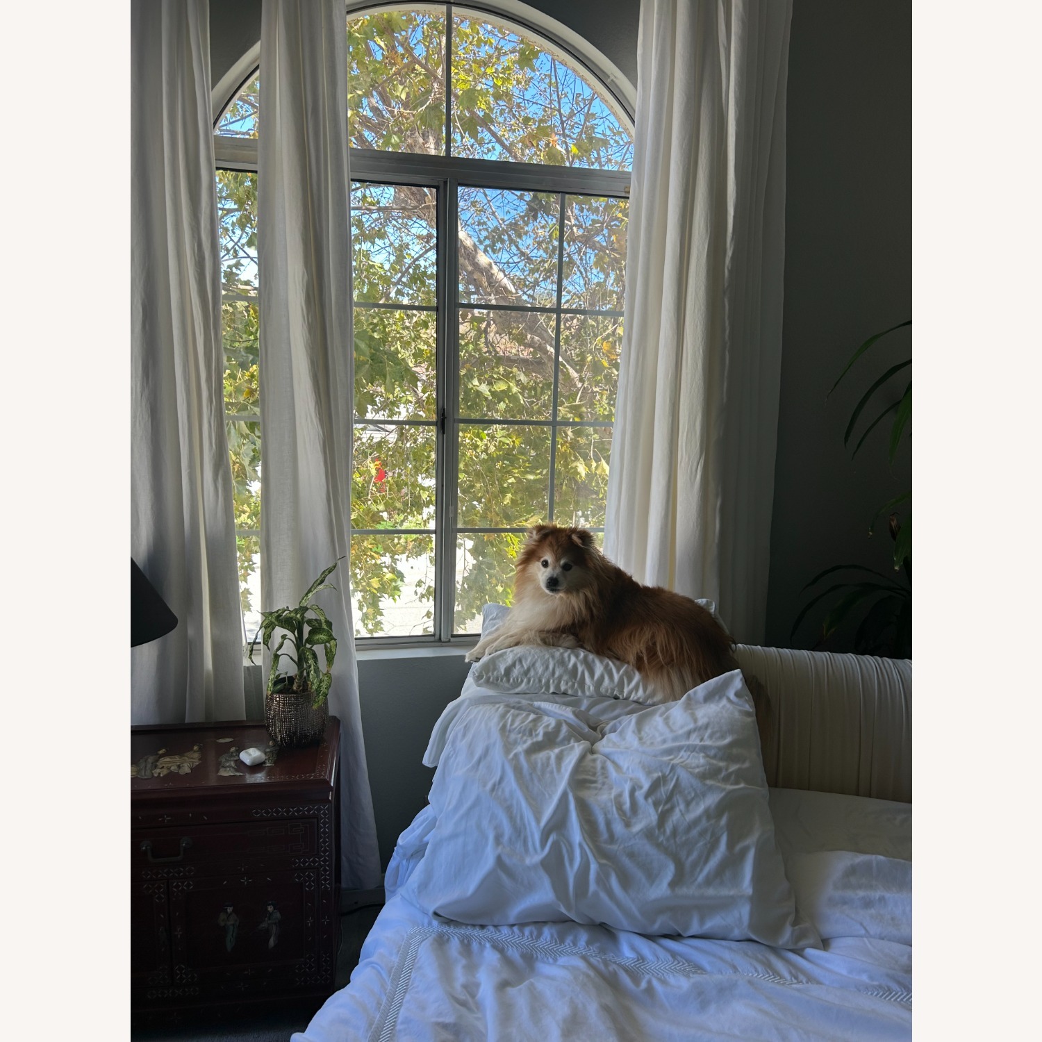 White Linen Curtains - image-2