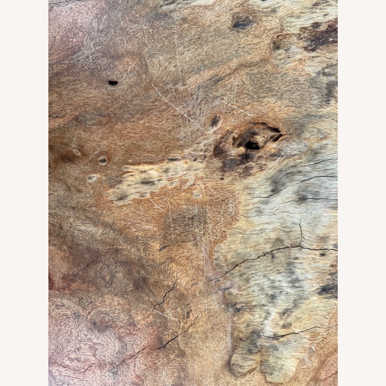 Statement Live-Edge Mango Wood "Window" Slab - image-24