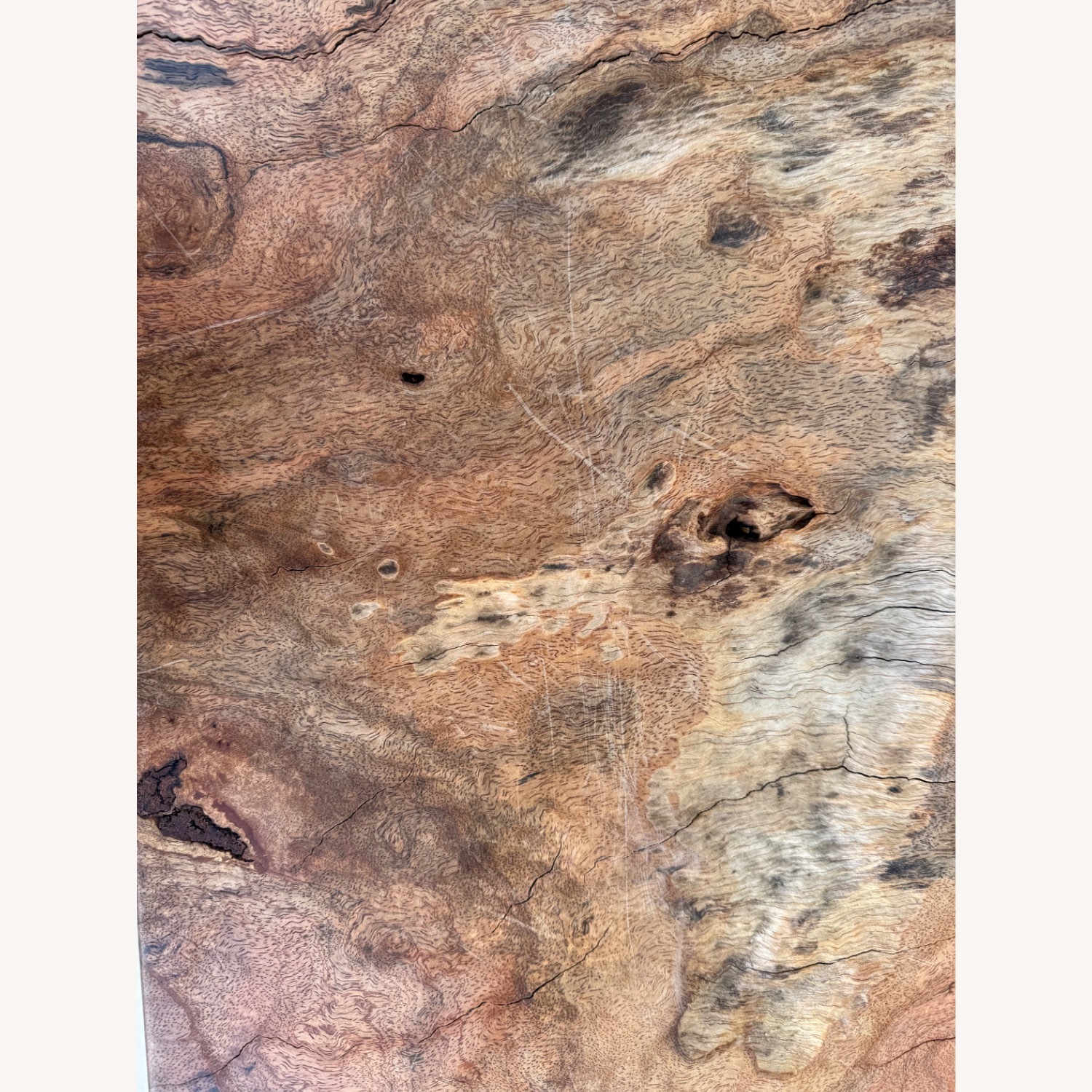 Statement Live-Edge Mango Wood "Window" Slab - image-23