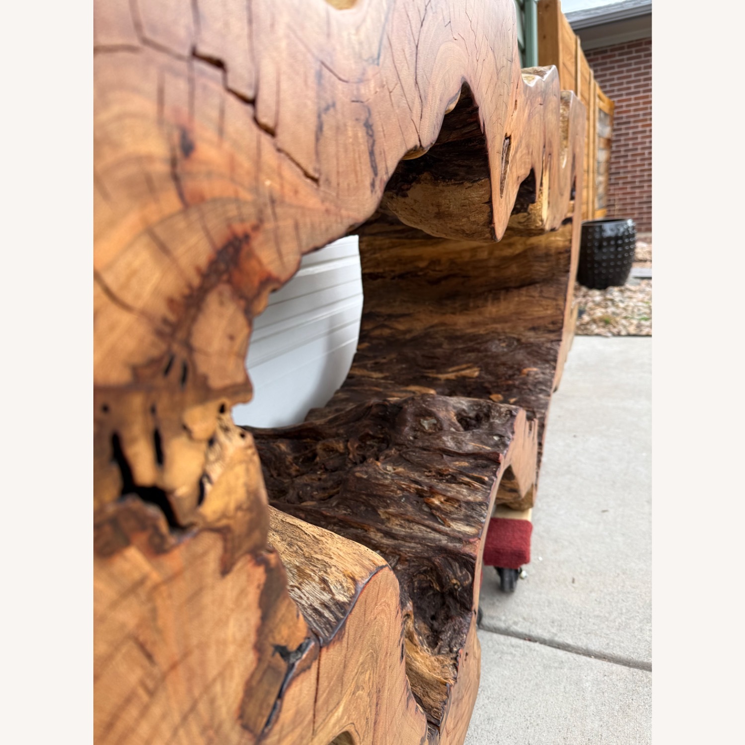 Statement Live-Edge Mango Wood "Window" Slab - image-13