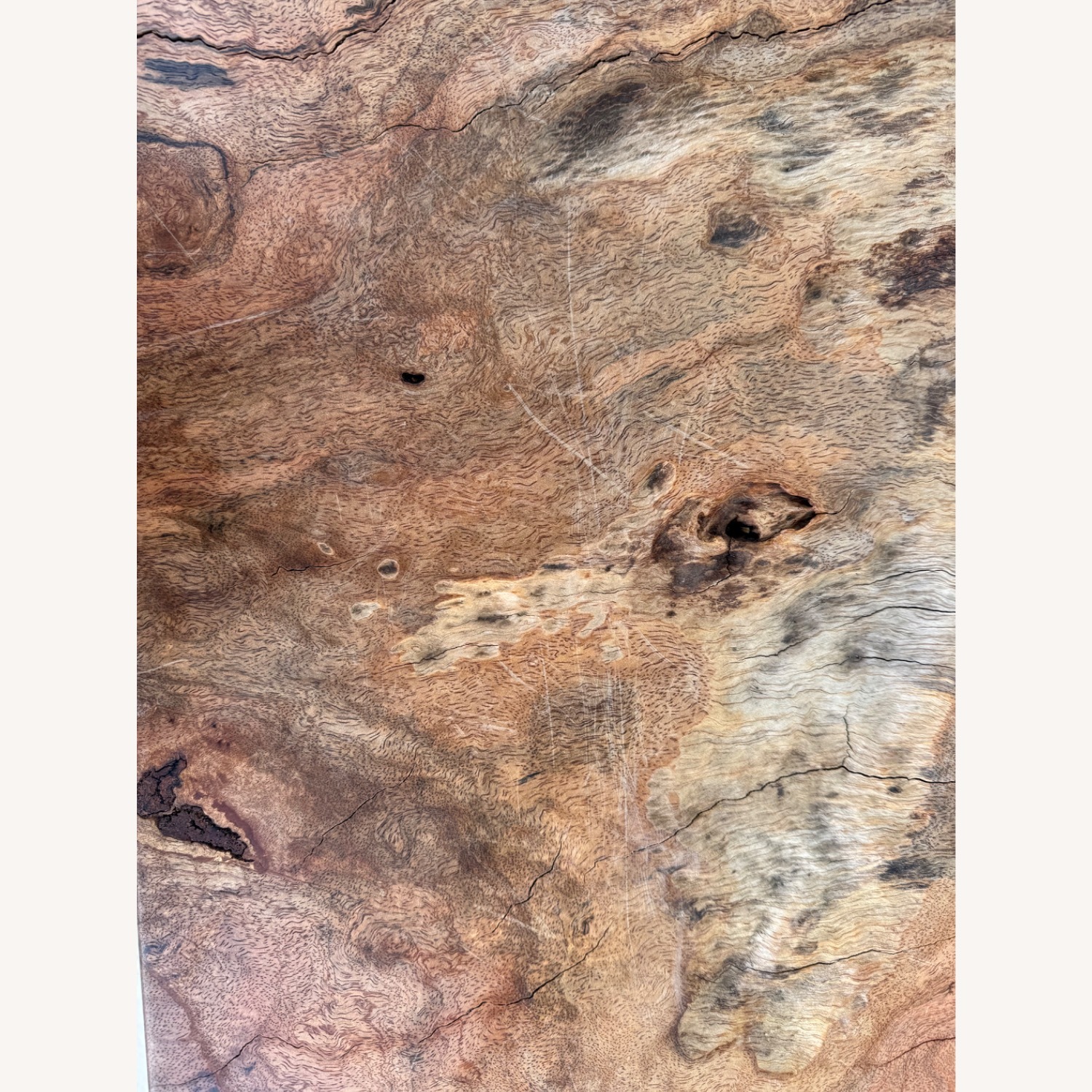 Statement Live-Edge Mango Wood "Window" Slab - image-2