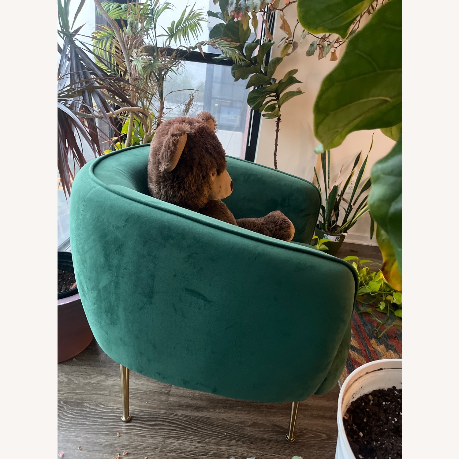 Wayfair Green Accent Chairs - image-3